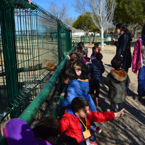 GRANJA ESCUELA ALBITANA 2018 10