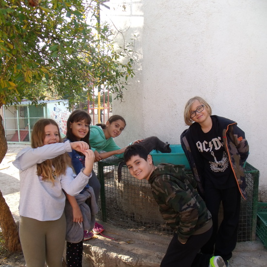 NOCHE MÁGICA 2019 (3ª parte) 5