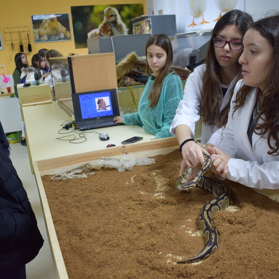 Visita Alfonso Moreno 2018 5