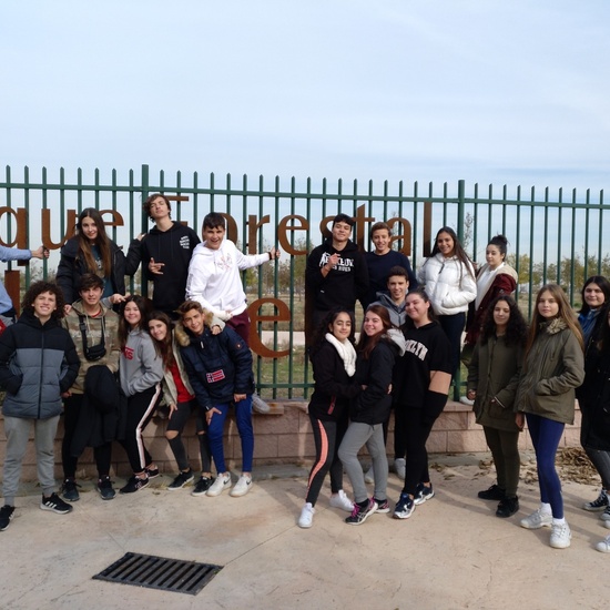 Plantación en el parque forestal de Valdebebas 2019 32