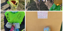 Recogida de basura  1º Primaria Arco de la Sierra