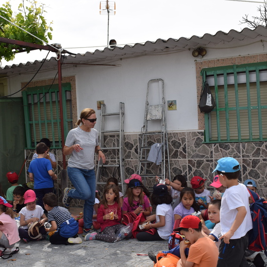 Siembra Huerta Balta 5 años 2018 32