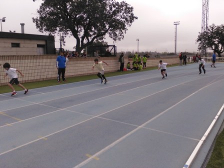 2017_03_28_Olimpiadas Escolares_Atletismo_Fernando de los Rios 4