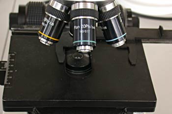 Objetivos de un microscopio