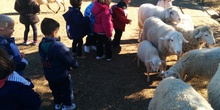 2016_inf 4 años a visita la granja 27