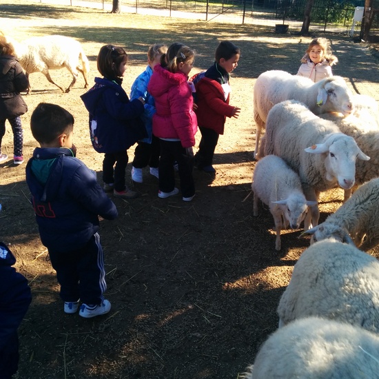 2016_inf 4 años a visita la granja 27
