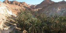Oasis del desierto