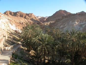 Oasis del desierto