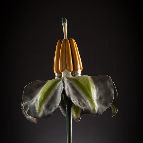 IES_CARDENALCISNEROS_BOTANICA_III_MODELOS_055