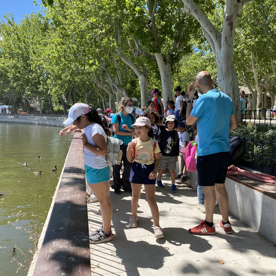 Casa de Campo - Primaria 220622 9