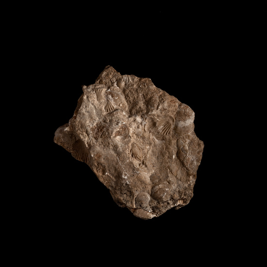 IES_CERVANTES_GEOLOGIA_013