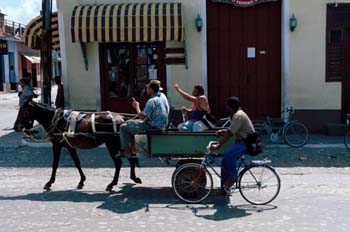 Carro tirado por un caballo