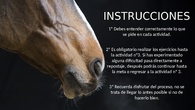 instrucciones t5