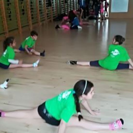 2018-04-09_Olimpiadas Escolares_CEIP FDLR_Las Rozas_Gimnasia