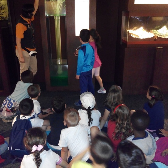 Visita a la exposición El Bosque. 1º 2º Primaria. CEIP Pinocho. 2016/17 15
