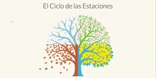Presentación Video Tarea 11