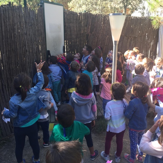 Salida al bosque encantado 2