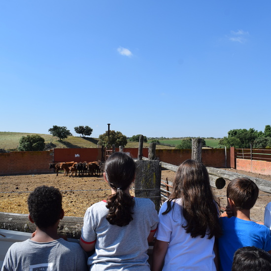 Salida en bici 4º de Primaria 24