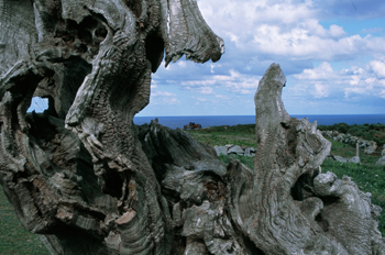 Estaca de Bares, Mañón, La Coruña, Galicia