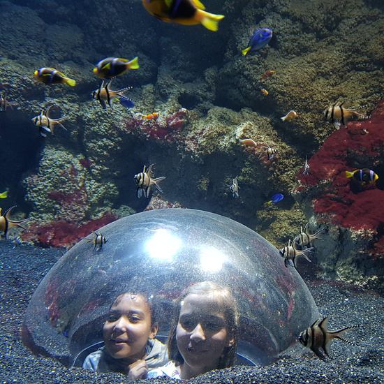 Aquarium Xanadú II 3ºB  9