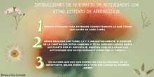 INSTRUCCIONES T5 CANVA
