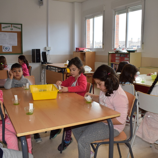 Taller de ciencias con padres 14