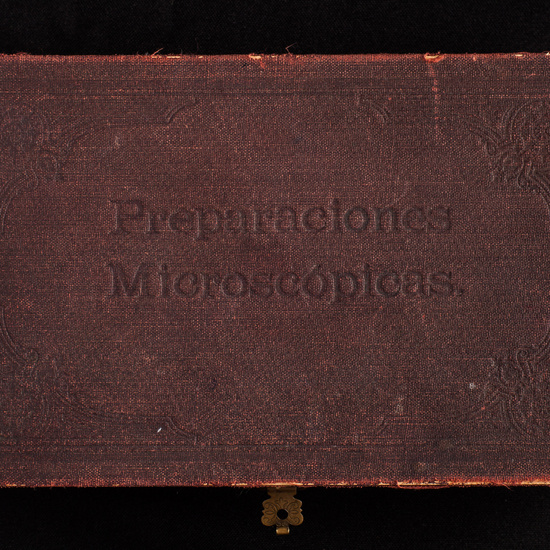 IES_ISABELLACATOLICA_BIOLOGIA_197