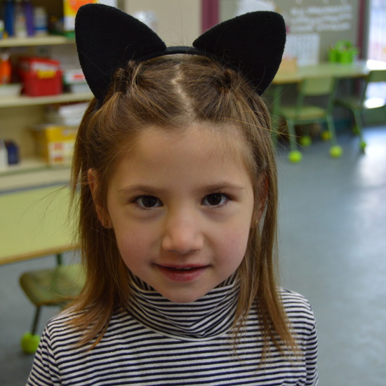 Carnaval 2018 5 AÑOS 24