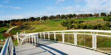 Puente sobre un parque