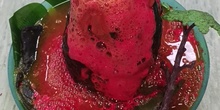 EXPERIMENTO VOLCÁN