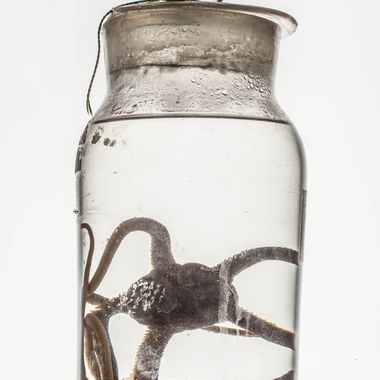 IES_CARDENALCISNEROS_CIENCIASNATURALES_023