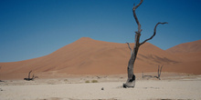 Valle de Sossusvlei, Namibia