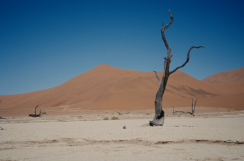 Valle de Sossusvlei, Namibia