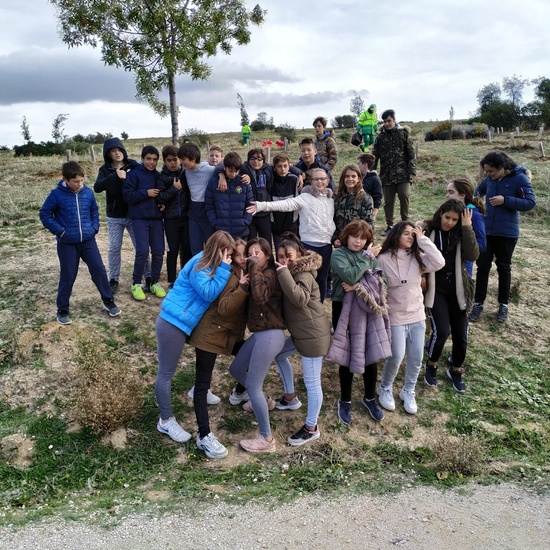 Plantación en el parque forestal de Valdebebas 2019 3