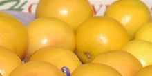 Pomelos