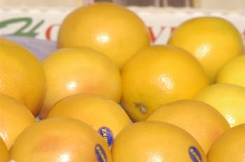 Pomelos