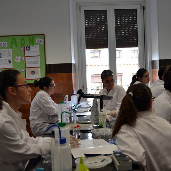 Proyecto de Aprendizaje y Servicio  38