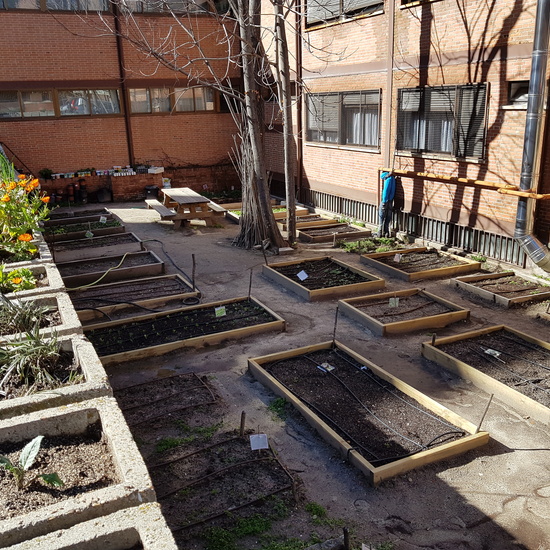 GALERÍA LEPANTO 5 8