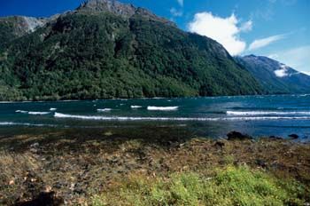 Parque nacional de Fiorland, Nueva Zelanda