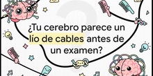 Preparación de los exámenes de ciencias 6º primaria
