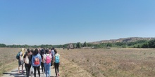 Parque arqueológico de Carranque. 1º ESO. 3 Mayo 2017 4