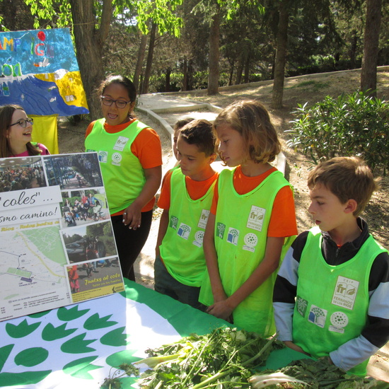 2019_06_06_Entrega bandera verde ecoescuelas_3_CEIP FDLR_Las Rozas 6