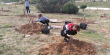 Plantación en el parque forestal de Valdebebas 2019 25