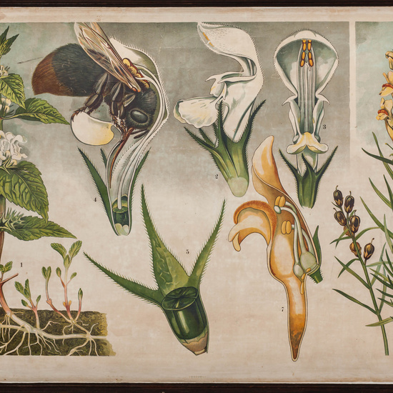 IES_SANISIDRO_LAMINAS_012