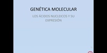 Los ácidos nucleicos. Parte 1 - Contenido educativo