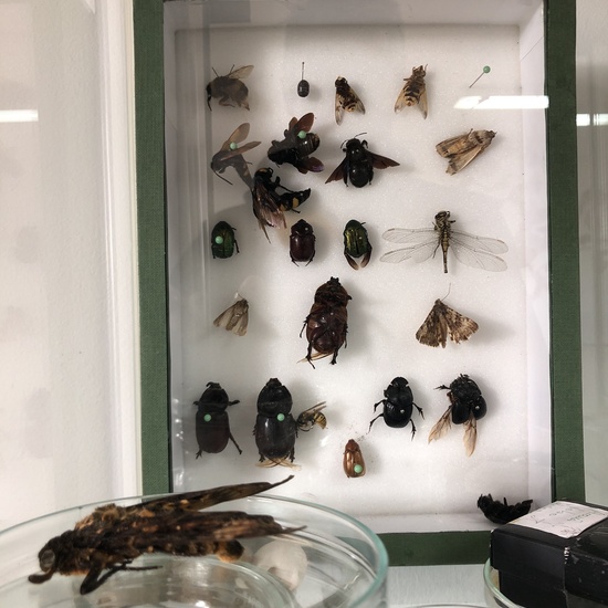 Albergue 6º - 4º día (mañana) 4