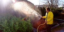 Mujer regando las plantas en un vivero