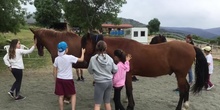 PRIMARIA - 4º - EXPERIENCIA CON CABALLOS