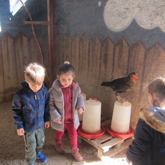 Granja Escuela Educación Infantil Curso 2017-18_2 2