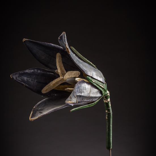 IES_ISABELLACATOLICA_BIOLOGIA_088